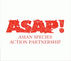 Logo ASAP 